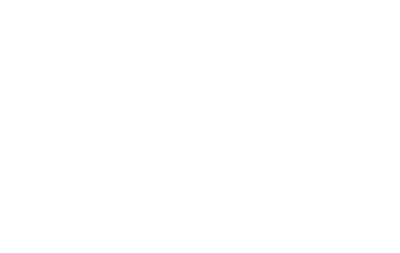 aigle - Oiseaux
