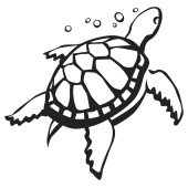 stickers  tortue
