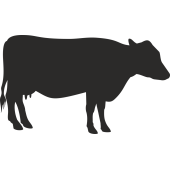 Sticker Vache