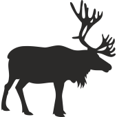 Sticker cerf
