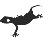 Sticker salamandre