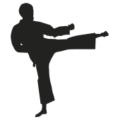 Sticker sport combat