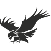 Sticker Aigle Attaque