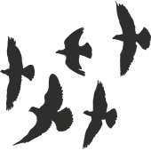 Sticker Aigles