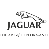 Sticker Jaguar Art Of Performance