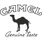 Sticker Camel