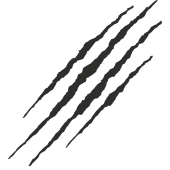 Sticker Griffure
