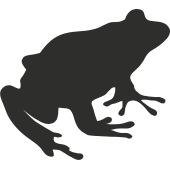 Sticker Grenouille Profil