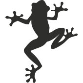 Sticker Grenouille Haut 2