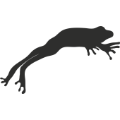 Sticker Grenouille Saut