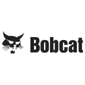 bobcat