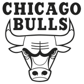 chicago bulls