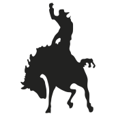 rodeo
