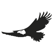 aigle