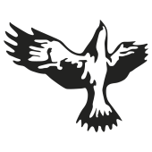 aigle
