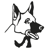 chien berger
