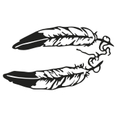 plumes