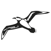 mouette