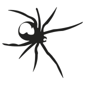 araignée