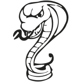 serpent2