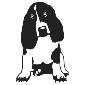 chien basset