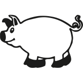 cochon