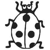 coccinelle