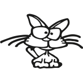 chat