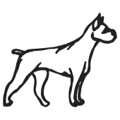 chien