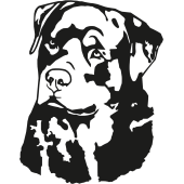 rottweiller