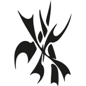 X