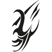 Y