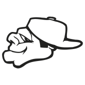 rapeur