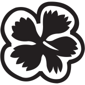 Stickers Fleurs 5