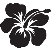 Stickers Fleurs 24