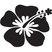 Stickers Fleurs 26