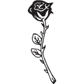 Stickers Fleurs 30