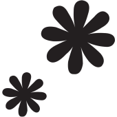 Stickers Fleurs 41