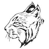 lynx