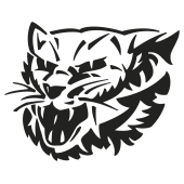 lynx
