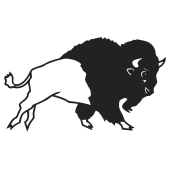bison