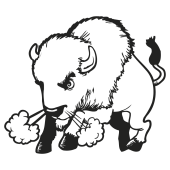 bison