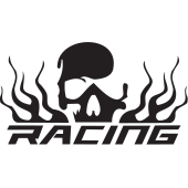 Sticker Tête de Mort 5