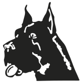 chien dog