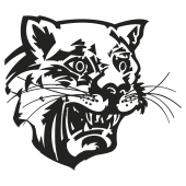 tigre