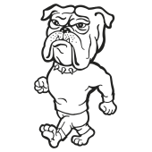 chien