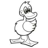canard