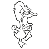 canard