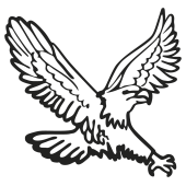 aigle