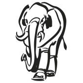 elephant